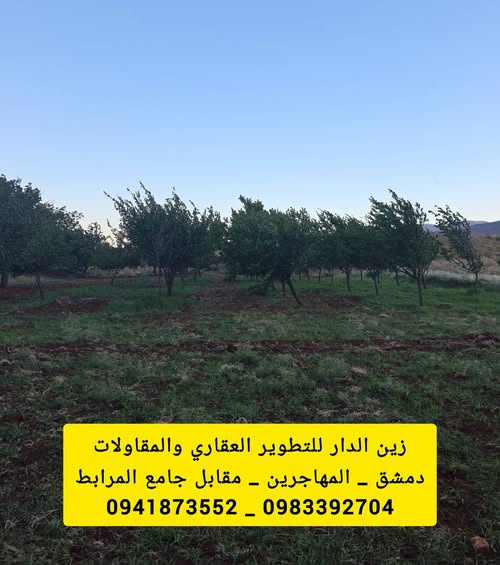 أرض مسوّرة دونم للبيع في يعفور البلد - عرض 368